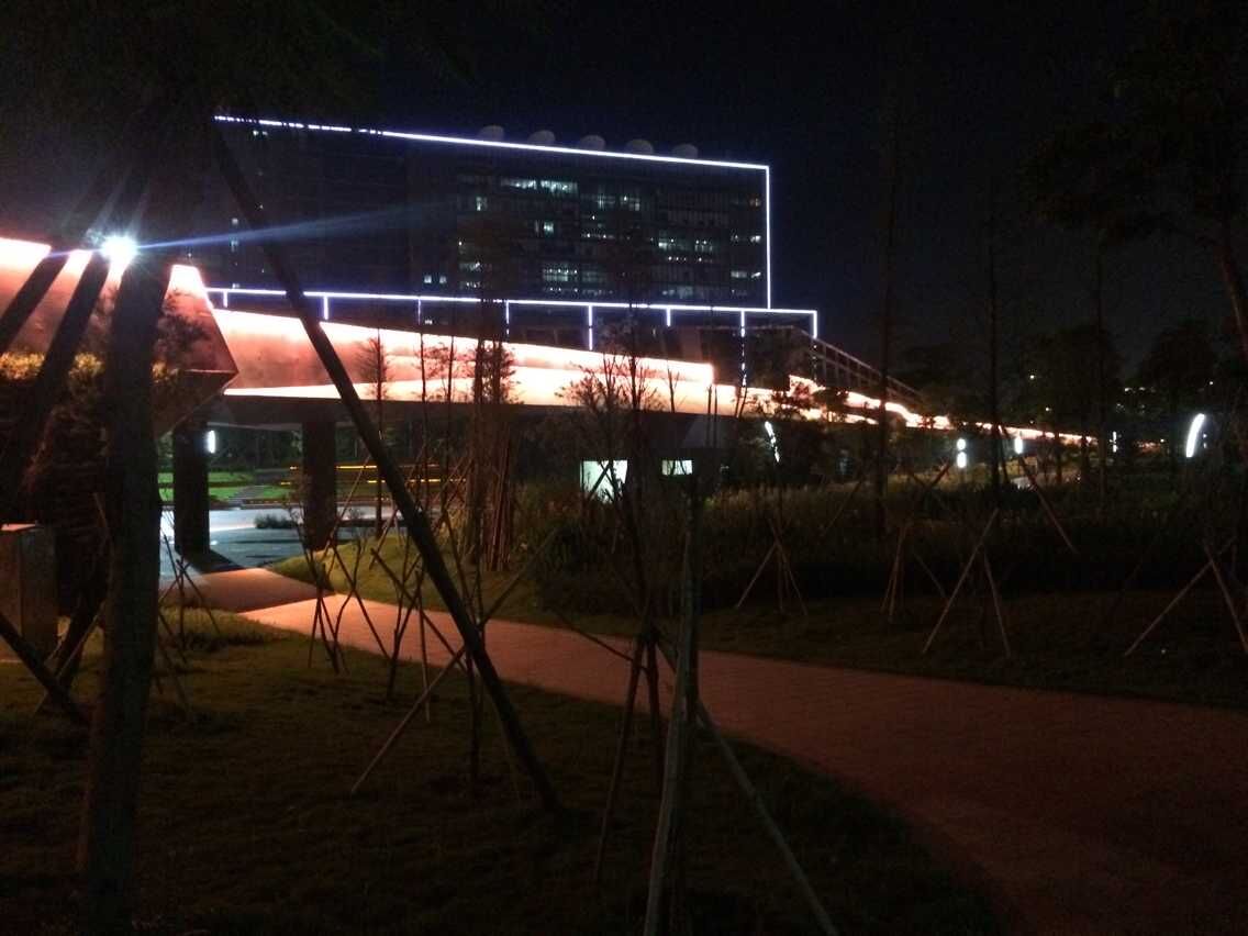 新城公園百萬工程項(xiàng)目